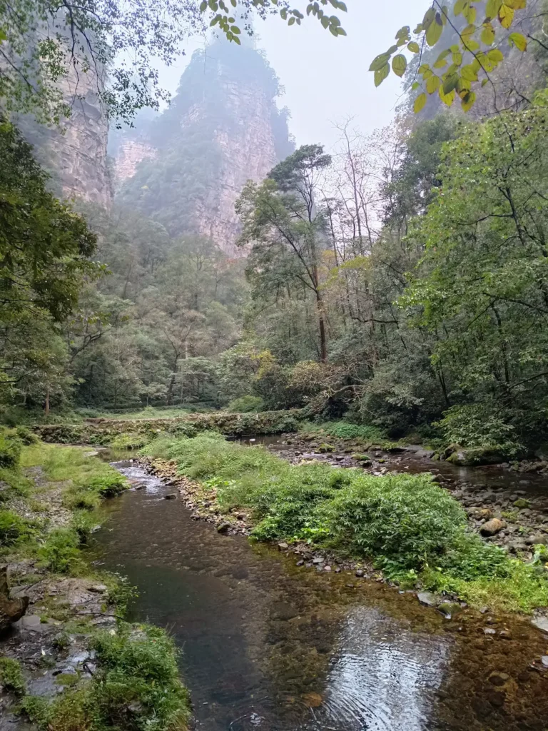 Golden Whip Stream en el Parque Nacional de Zhangjiajie (China)