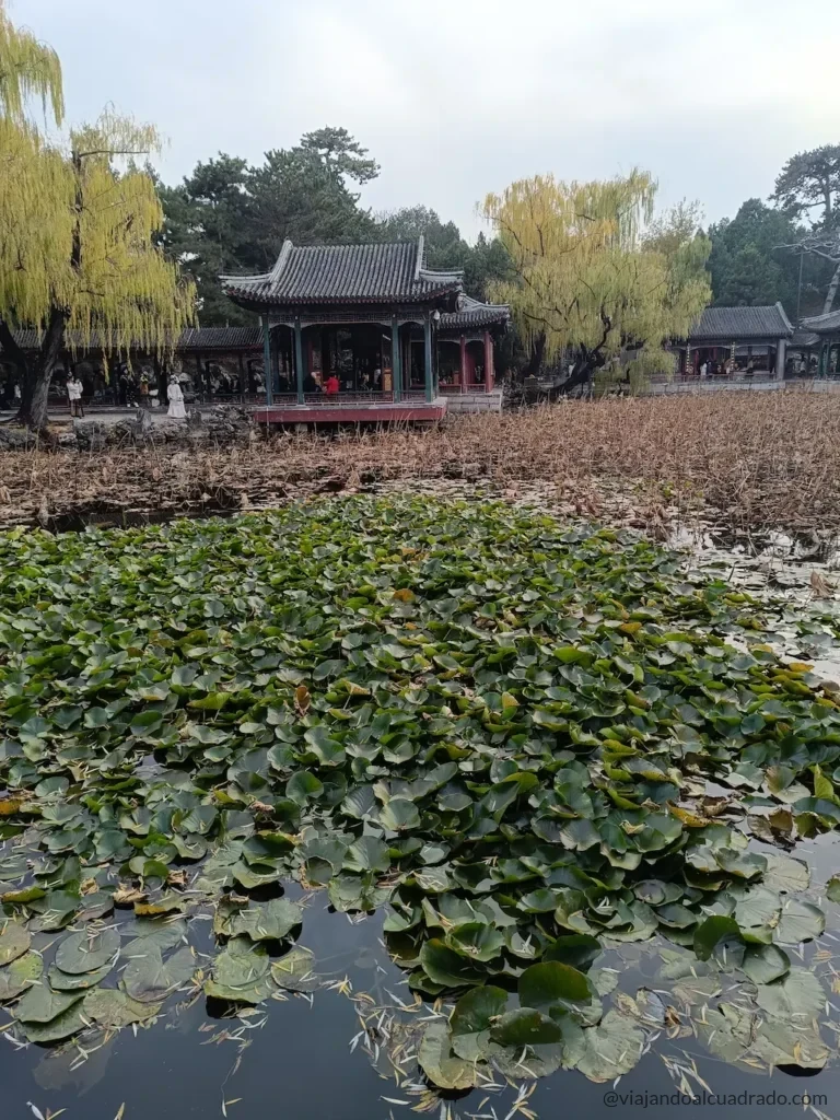 Garden of Harmonious Interests en Beijing (China) - Viajando al Cuadrado